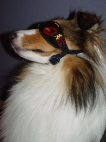 ILS DOGGLES® ILS DOGGLES®